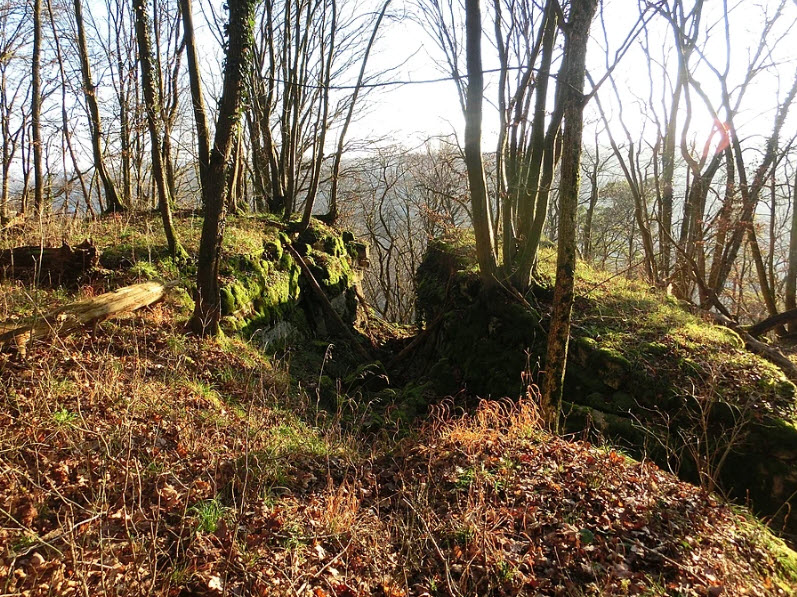 Schlossruine Bielriet, Wolpertshausen, Germany, Germany